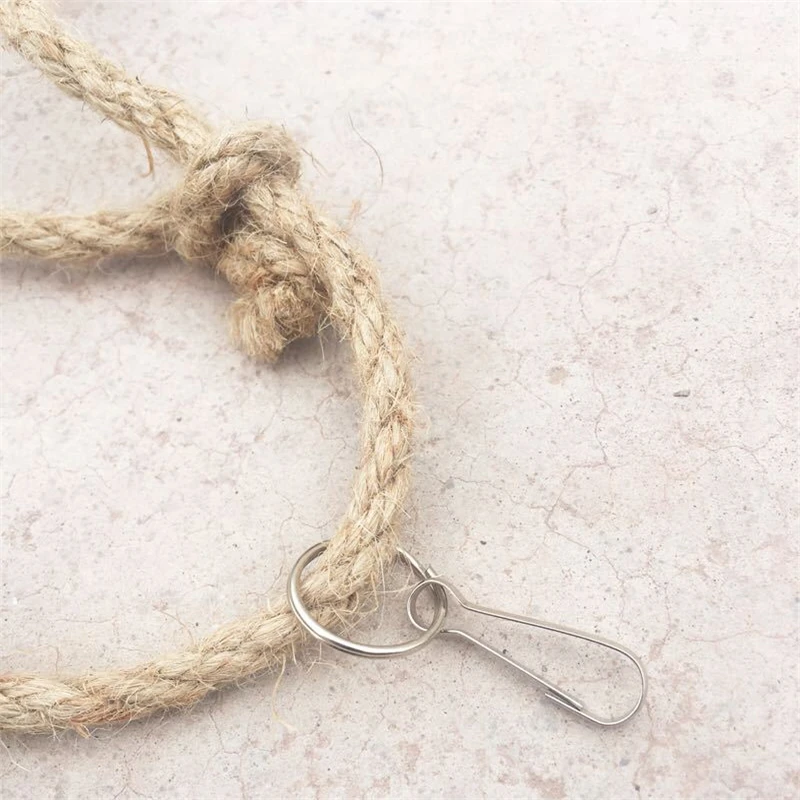 8905414681_1550852929