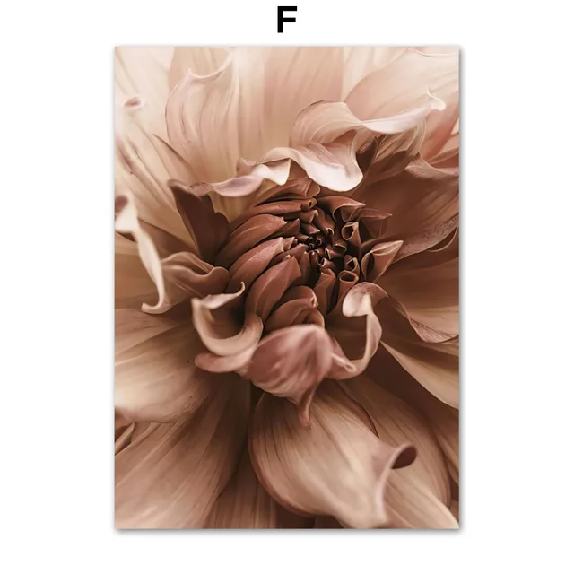 Dahlia Flower Calm Beach Golden Sunset Reed Grass Nordic Poster Wall Art Print Canvas Painting Decor Pictures For Living Room F