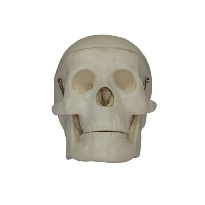 gGqUif2gxdSGFui65Mgc1Iu4CEHhPfMEE+Ht