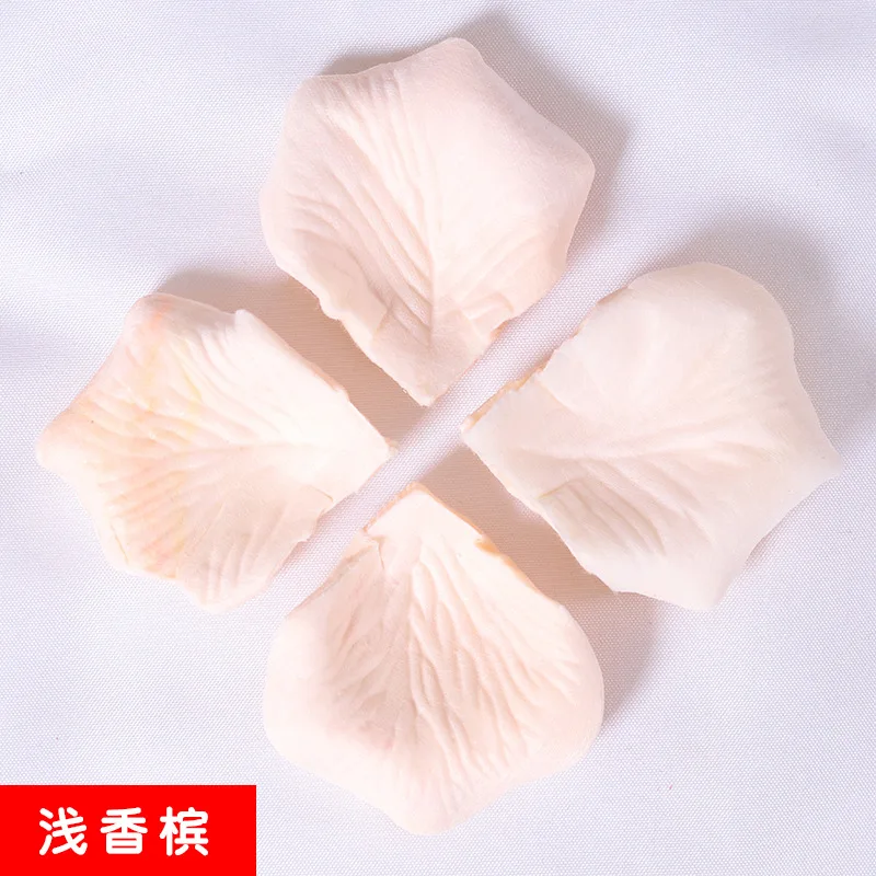 016-浅香槟120片15g