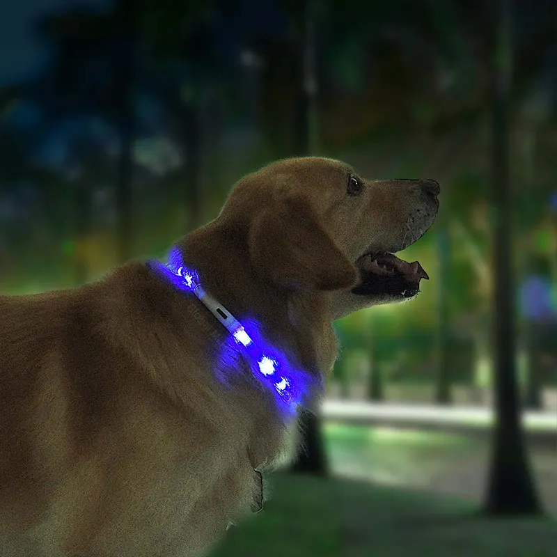 Xiaomi Mijia Pet Блестящий Воротник для прогулок в ночное время шоппинг анти-питомец потерянный Предупреждение предупреждающий свет мягкий силикон может отрезать usb зарядку