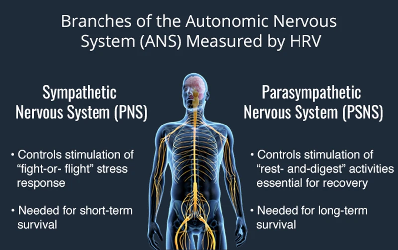 9 Bluetooth Ant+ Heart Rate HRV Monitor Polar Garmin Wahoo Chest Strap Belt Elite HRV BLE Ant Heart Rate Variability Monitoring 