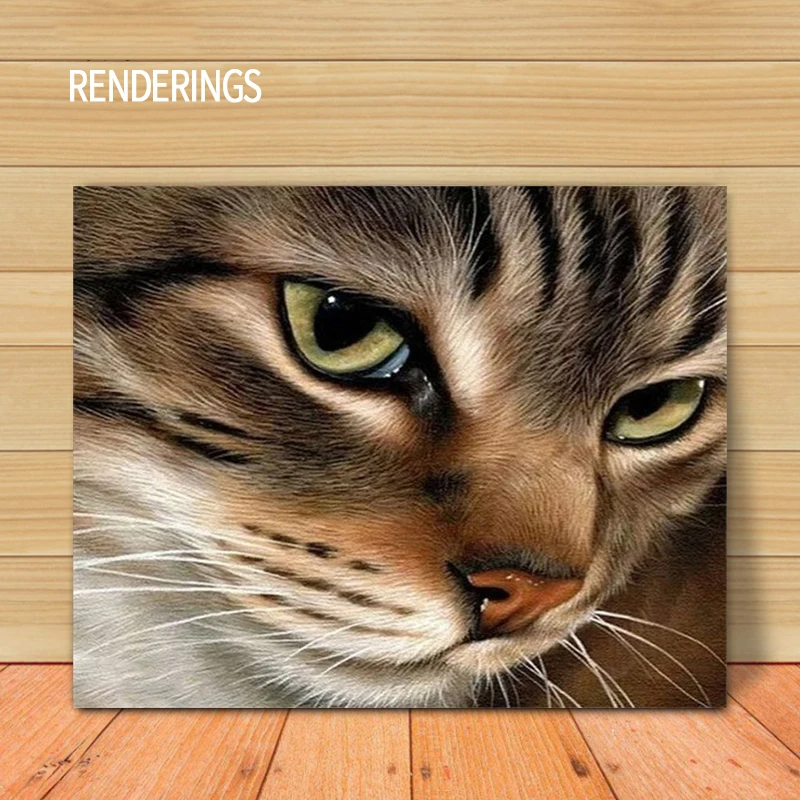 Cat Painting By Number Diy Animal On Canvas With Frame Oil Picutres Drawing By Number HandPainted Coloring Home Decor Walls Art
