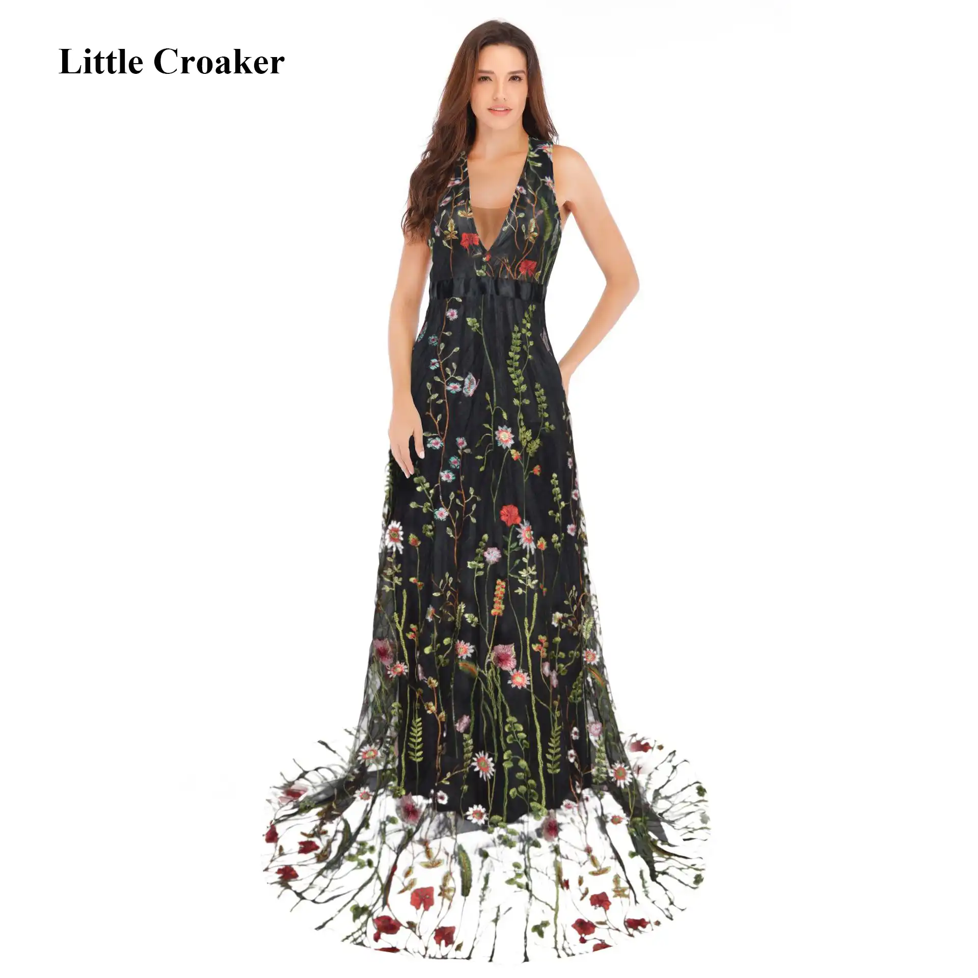 new fancy long frock