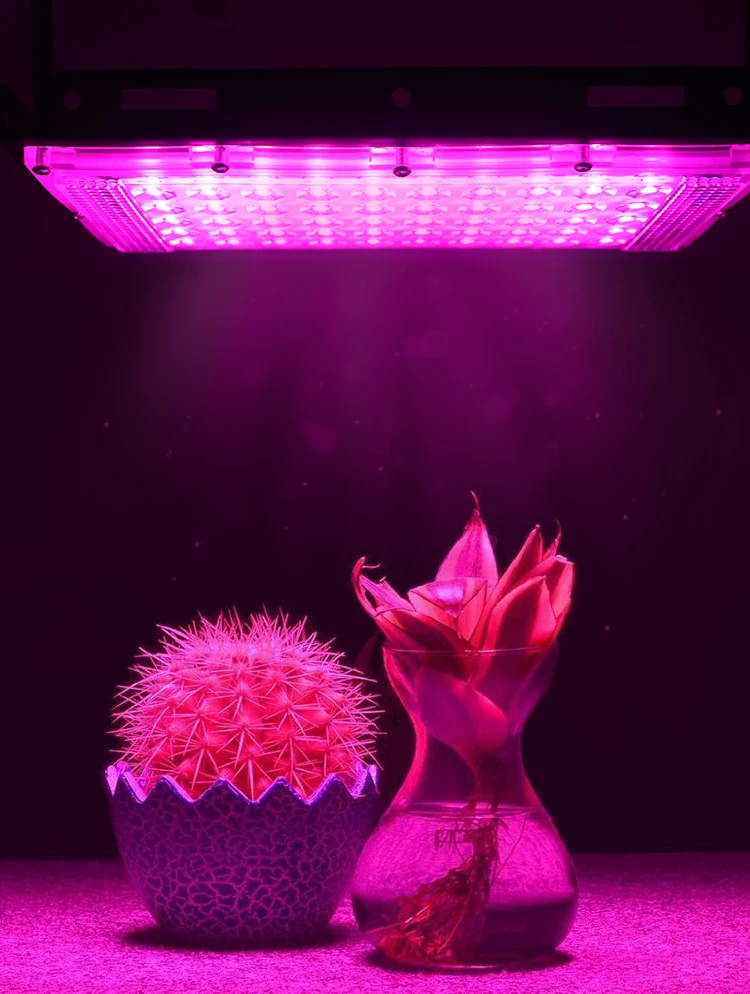 Borbede Led Grow Light Plant Light 50W Full Spectrum for Greenhouse Vegetable Flower Indoor Plants Grow Light