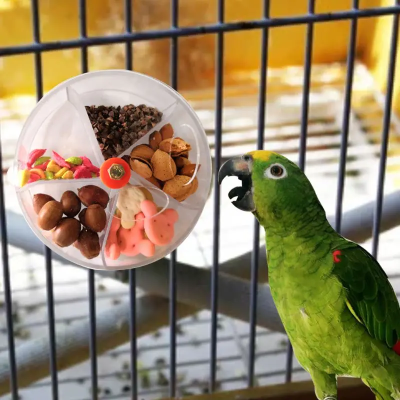 

Parrot Foraging Toys Device Bird Bite Toy Wheel Shape Rotatable Birds Puzzle Feeding Food Box