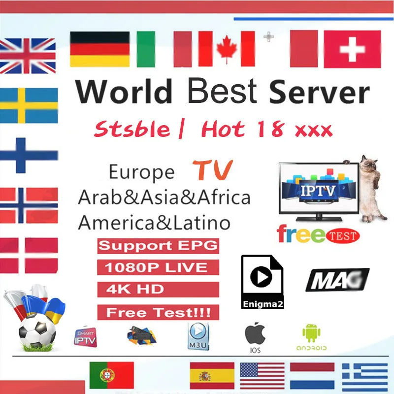 

15 Month android TV box IP Spain Arabic Portugal Dutch Belgium TV German M3u Arabic Belgium Netherlands Italy TV no app included