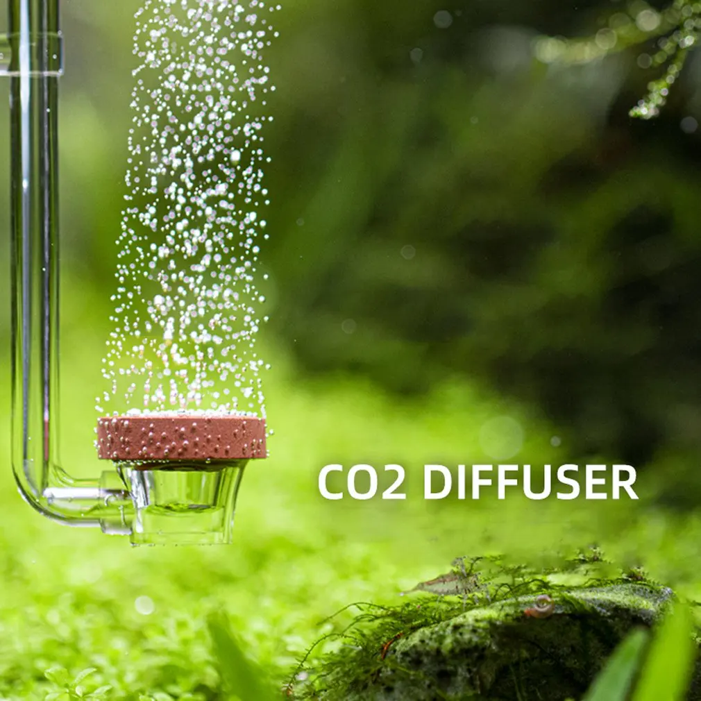 Акриловый прозрачный Диффузор CO2 фиксирующий распылитель на присоске счетчик