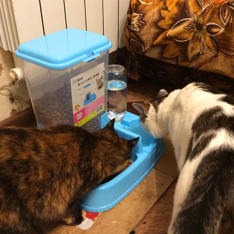 Tanie Podajnik automatyczny miska dla kotów podwójna miska automatyczne poidełko wody zwierzęta domowe są podajnik automatyczny miska dla psa artykuły dla psów