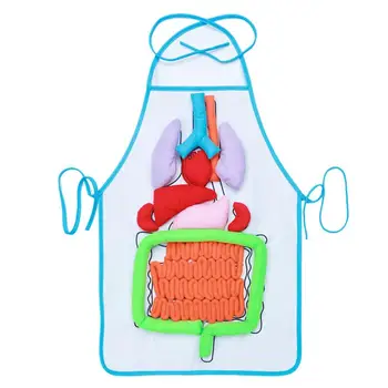 

64cm Human Organs Pattern Apron Children Educational Apron Teaching Apron for Women Teachers