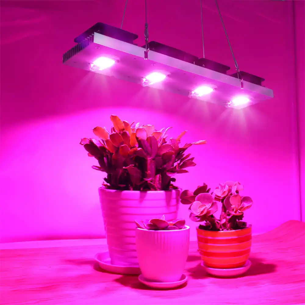 luz led cob de espectro completo para cultivo lampara led de potencia real de 50w 100w 150w y 200w para cultivo de plantas de interior etapa de