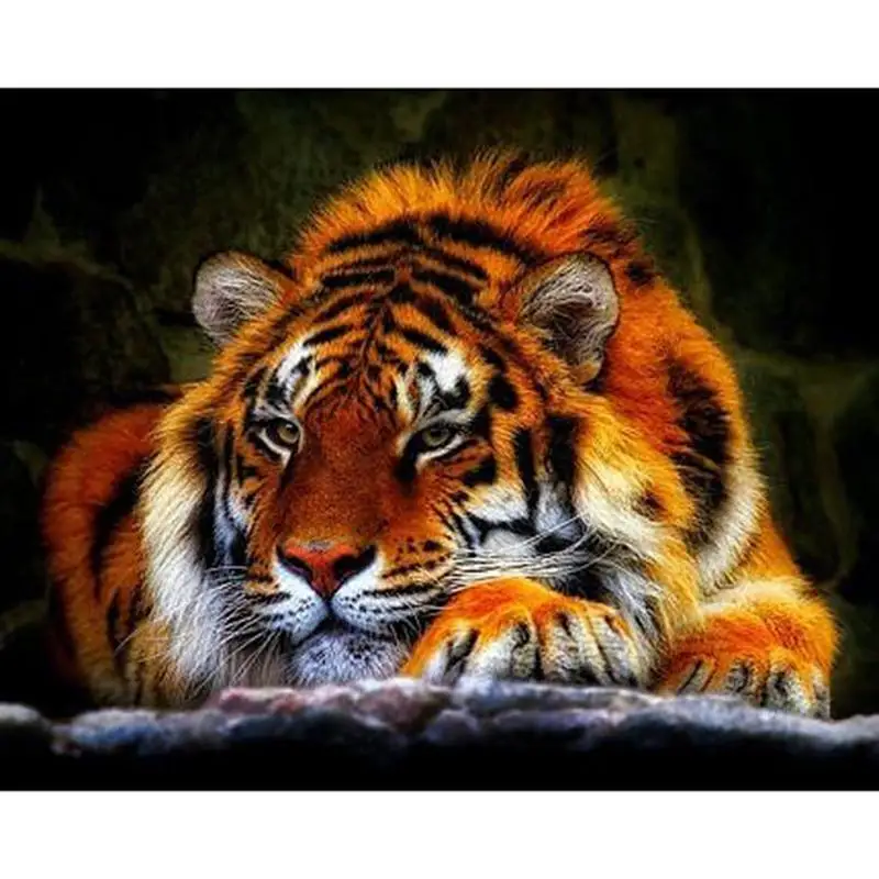 Diamond-Embroidered-Animal-Tiger-5D-DIY-Diamond-Painting-Kitten-Cross-Stitch-Mosaic-Rhinestone-Drawing-Puzzle-Needle