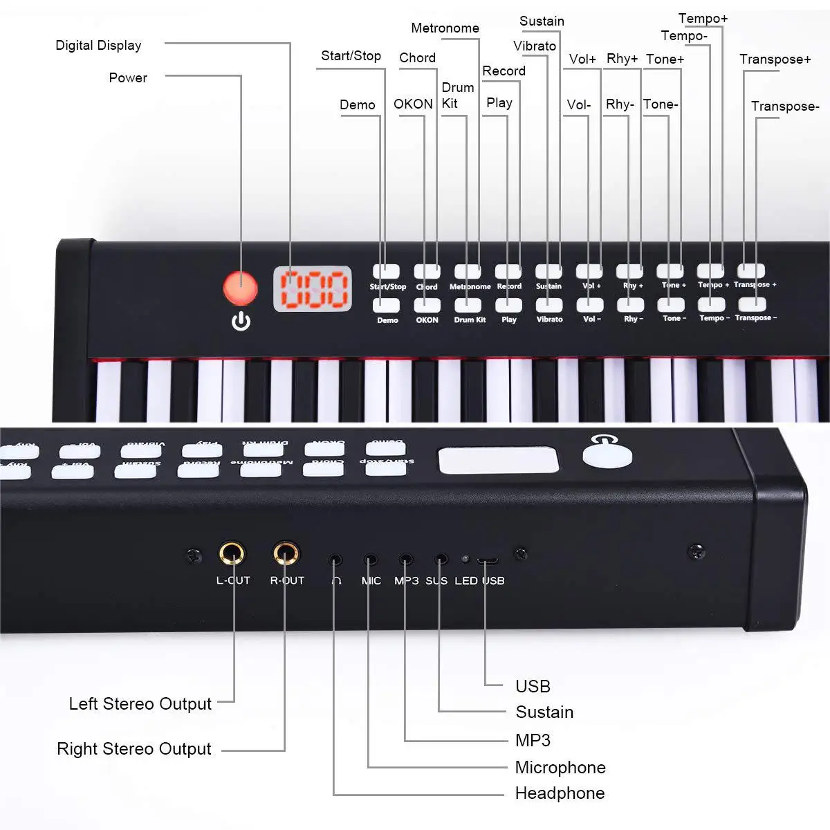 WERSI portable electronic piano 88-key beginner hand-rolled piano portable intelligent BX-II