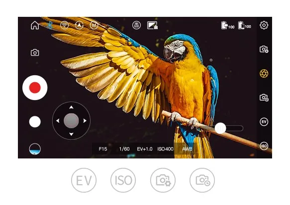Электронный стедикам Zhiyun Weebill Lab Электронный стабилизатор по всей России