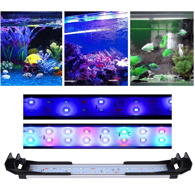 Lumière LED IP65 pour Aquarium 22/32cm, support extensible à couleurs  changeantes, lampes pour Aquarium à