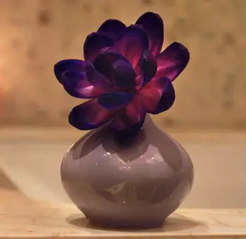 

120ml Fragrance Diffuser Rattan Sticks Set Refill Bedroom Scent Essential Oil Home Decor Stone Flower Aroma Diffuser a Gifts