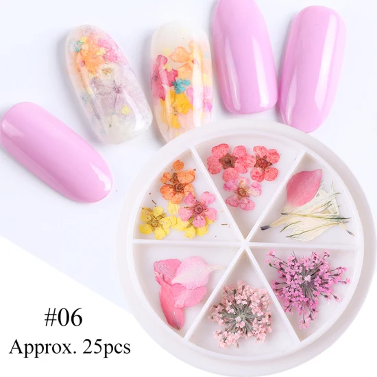 24 вида, настоящие 3D сухие цветы, украшения для ногтей, летние модные акриловые натуральные Цветочные наклейки для самостоятельного дизайна ногтей TR1559 - Цвет: 06