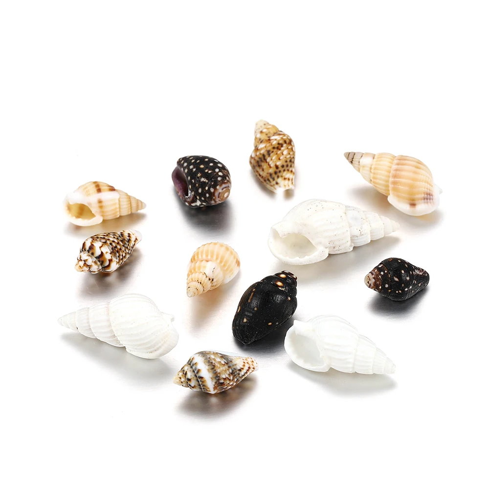 

50g/pack Natural Shell Mini Small Conch Spiral Screw For DIY Jewelry making Aquarium Landscape Drops glue Epoxy Craft Seashell