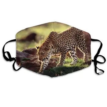 

Polyester Anti-dust Mouth Mask - Leopard Cheetah Funny Logo Washed Reusable Mouth-Muffle - Fashion Printed Face Masks For