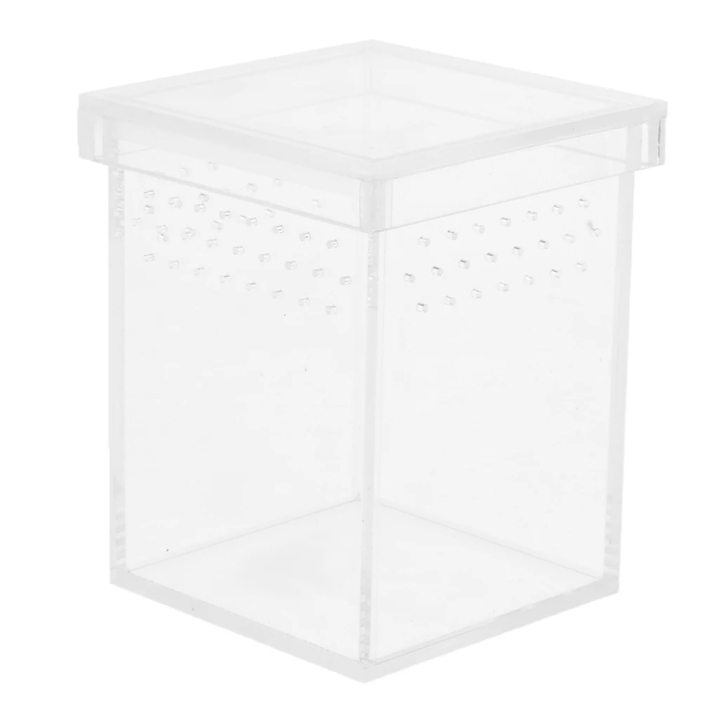 

Reptile & Amphibian Transport Feeding Breeding Box Insect Live Food Box