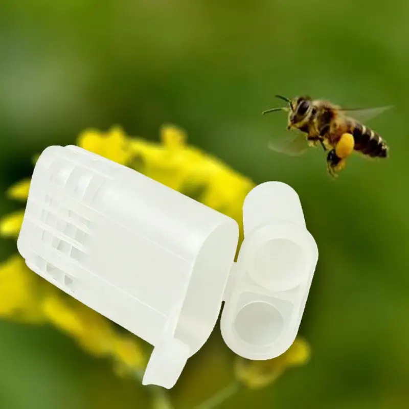 20 шт./компл. пчела queen клетка защита Пчеловодство оборудование инструменты инсектарии коробка