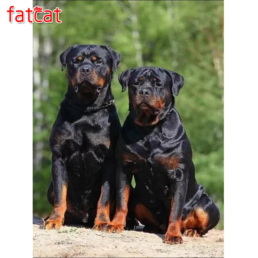 Photo custom DIY Diamond Painting Animals Rottweiler Dog 5D Cross Stitch 3D Diamonds Embroidery Mosaic Rhinestone painting decor