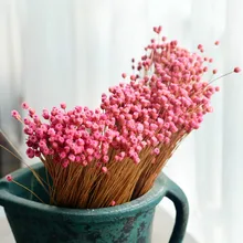 50 высушенных цветов счастливый цветок натуральные растения букет декоративный цветочный для дома Свадебные украшения праздничные вечерние принадлежности