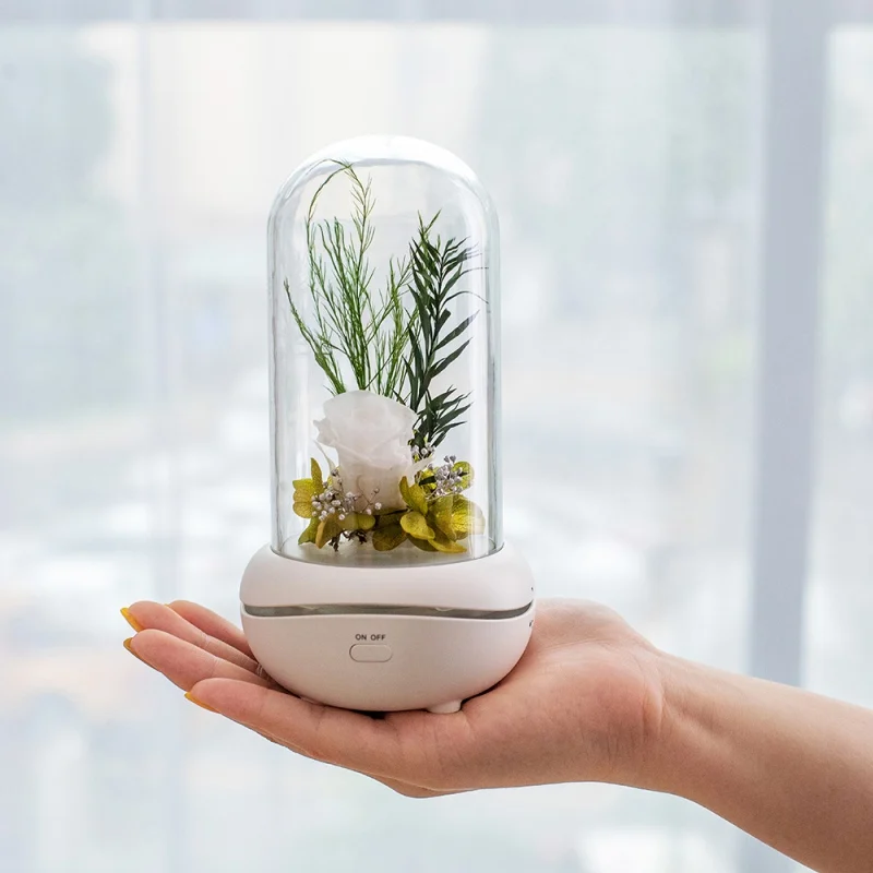 

Novelty Eternal Rose Flower Design Aroma Diffuser For Essential Oils With 7 Colour LED Night Light