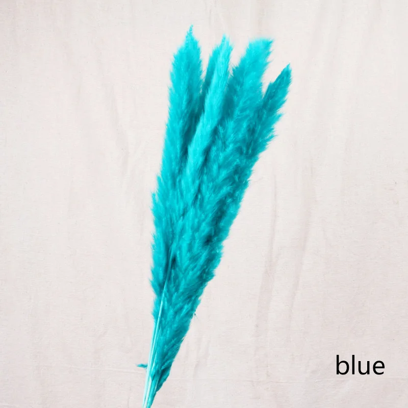 blue 7 шт. Bulrush Натуральные Сушеные небольшие пампасы травы Phragmites растения искусственные, свадебные букет цветов для домашнего декора искусственные цветы - Цвет: blue