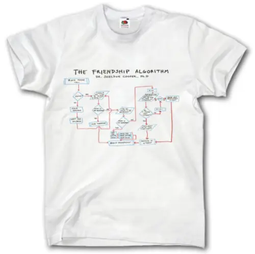 

THE THEORY SHELDON COOPER FRIENDSHIP ALGORITHM S-XXXL SHIRT FUNNY