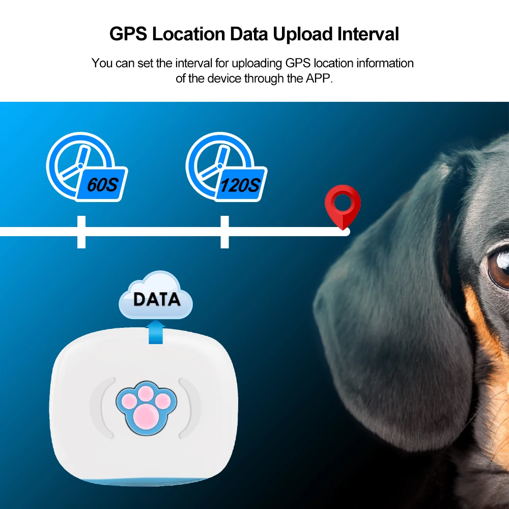 Ошейник для кошек Мини gps водонепроницаемый IP67 gps Perro A gps позиционирование гео-забор Дистанционно управляемый длительное время ожидания Pet трекер gps трекер для собак