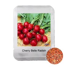Профессиональная Упаковка 100 шт Вишневый Белль редиска бонсай, настоящие плантасы вкусные сладкие овощи Флорес, домашний сад завод