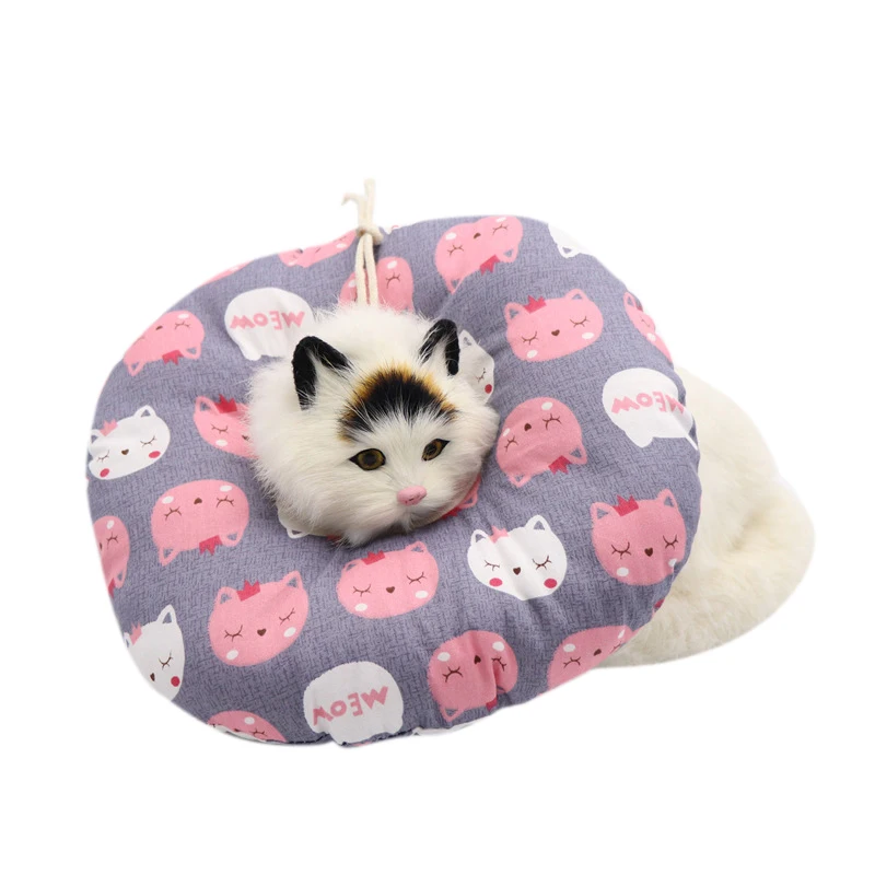 灰粉猫咪