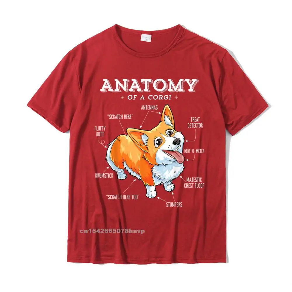 Hip hop comfortable Short Sleeve Tees April FOOL DAY O Neck Pure Cotton Mens T-shirts comfortable Tees Fitted Top Quality Corgi Shirt Women Kids Men Anatomy of a Corgi Girls Boys Tee__2228. red