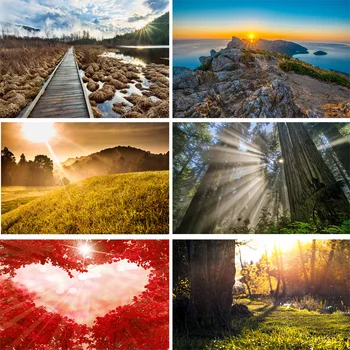 

Vinyl Custom Photography Backdrops Prop Light landscape Theme Photography Background 200309HV-010