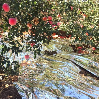 

High Reflective Rate Mulch Film PET polymer polyester film Orchard Breathable Apple Grape Anti High Temperature Waterproof