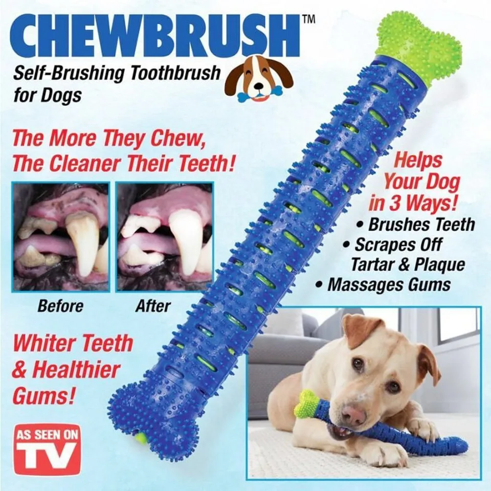 dog chewing toothbrush