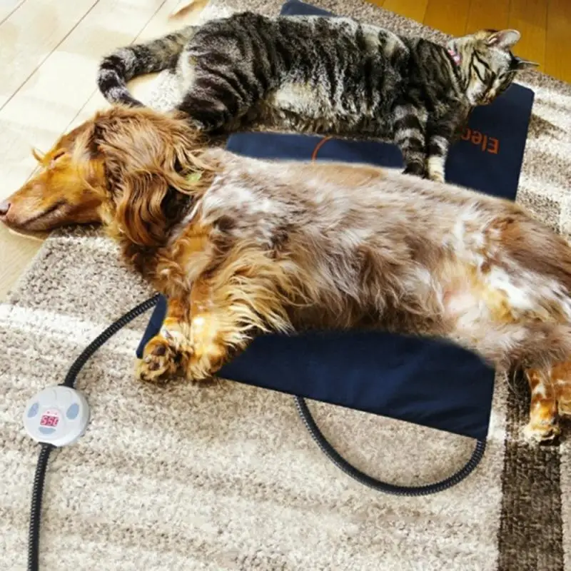 45 × 60 см Pet быстрый нагрев Pad Одеяло зима щенок котенок с подогревом Теплее Кровать/резиновый коврик Водонепроницаемый с защитой от поражения электрическим током 110 V-220 V
