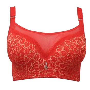 

Dihope Perspective Lace Bra Bralette Women Plus Size Bras Sexy Lingerie Underwire Underwear Top Fashion Style Bra Underwear