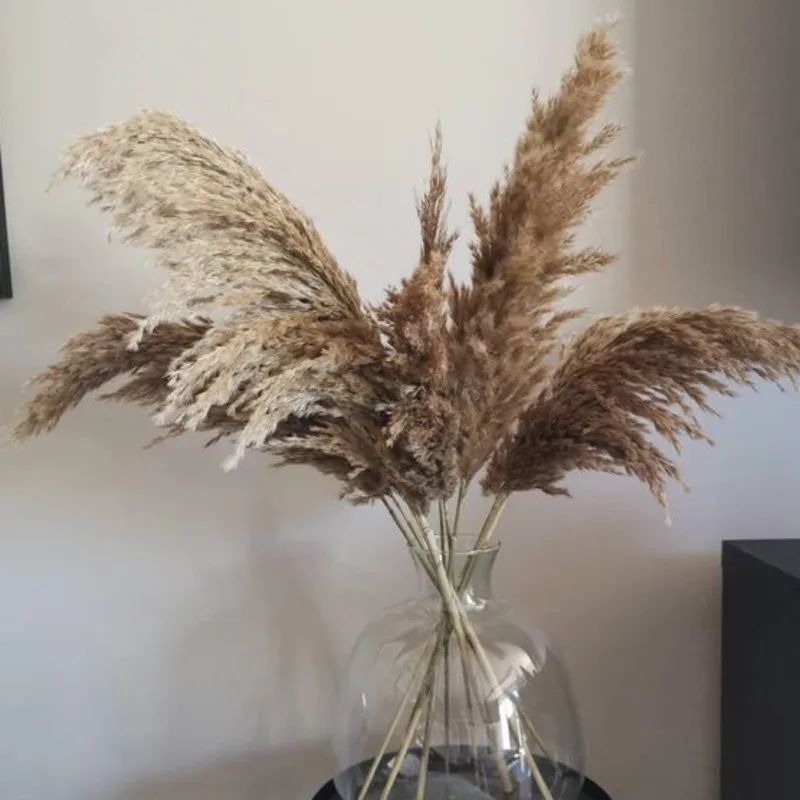 10/20 штук пампасной травы Декор растения home decor Свадебный декор засушенные цветы