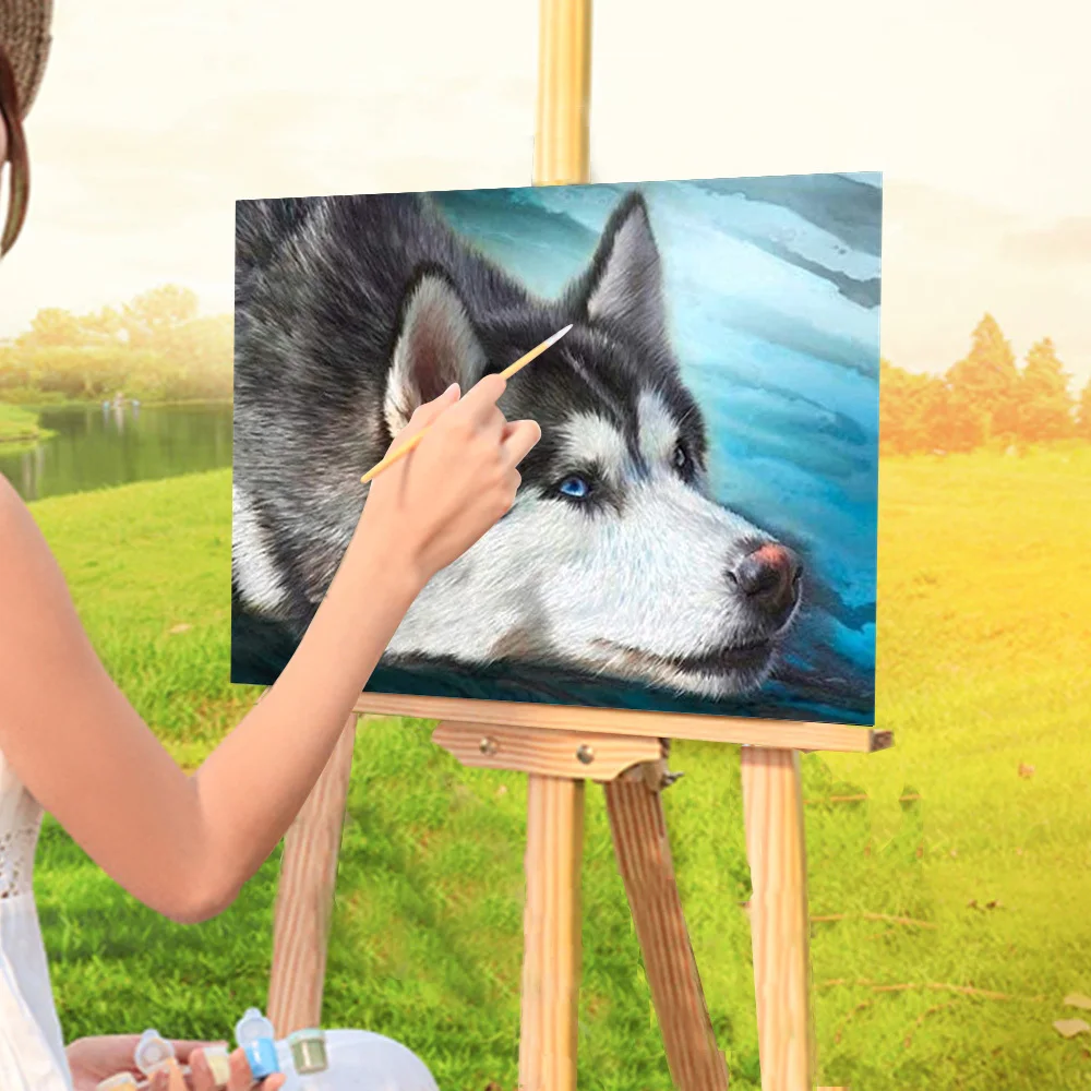 Animal Dog Husky Painting By Numbers Set Oil Paints 40*50 Paiting Wall Decoration Kids Drawing | Дом и сад