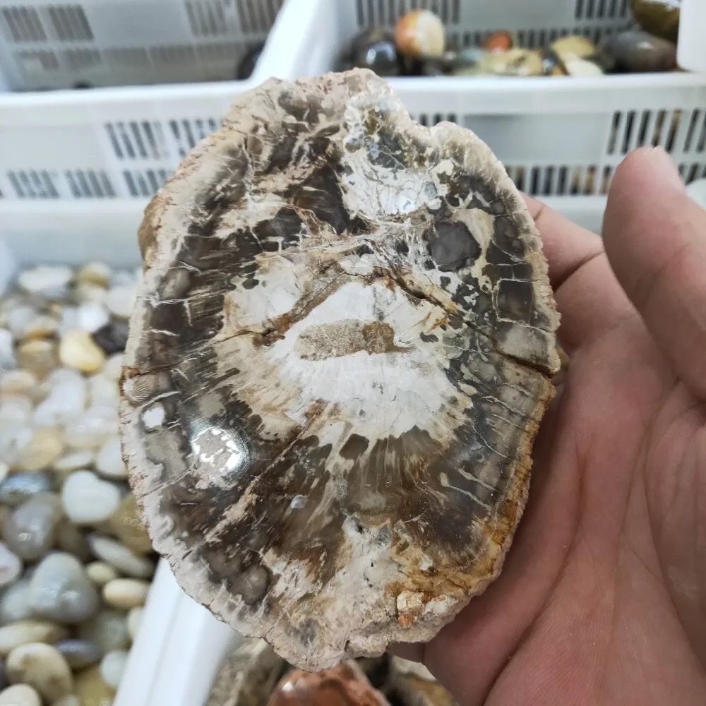 IMG20190928111721