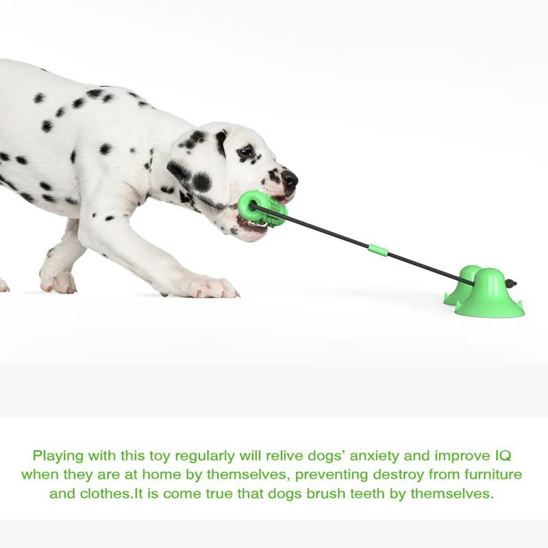 dog toy suction to floor