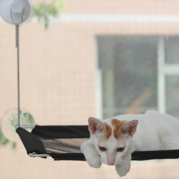 Гамак для питомца кота, подвесная кровать, окно для кошки, солнечное сиденье, удобные мягкие коврики для кошки, кровать, моющиеся съемные товары для домашних животных