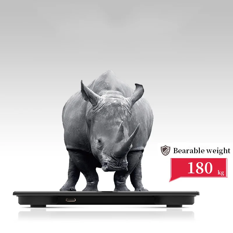 8698207286_432938387