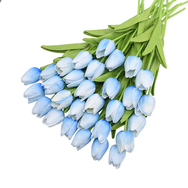 Image 23