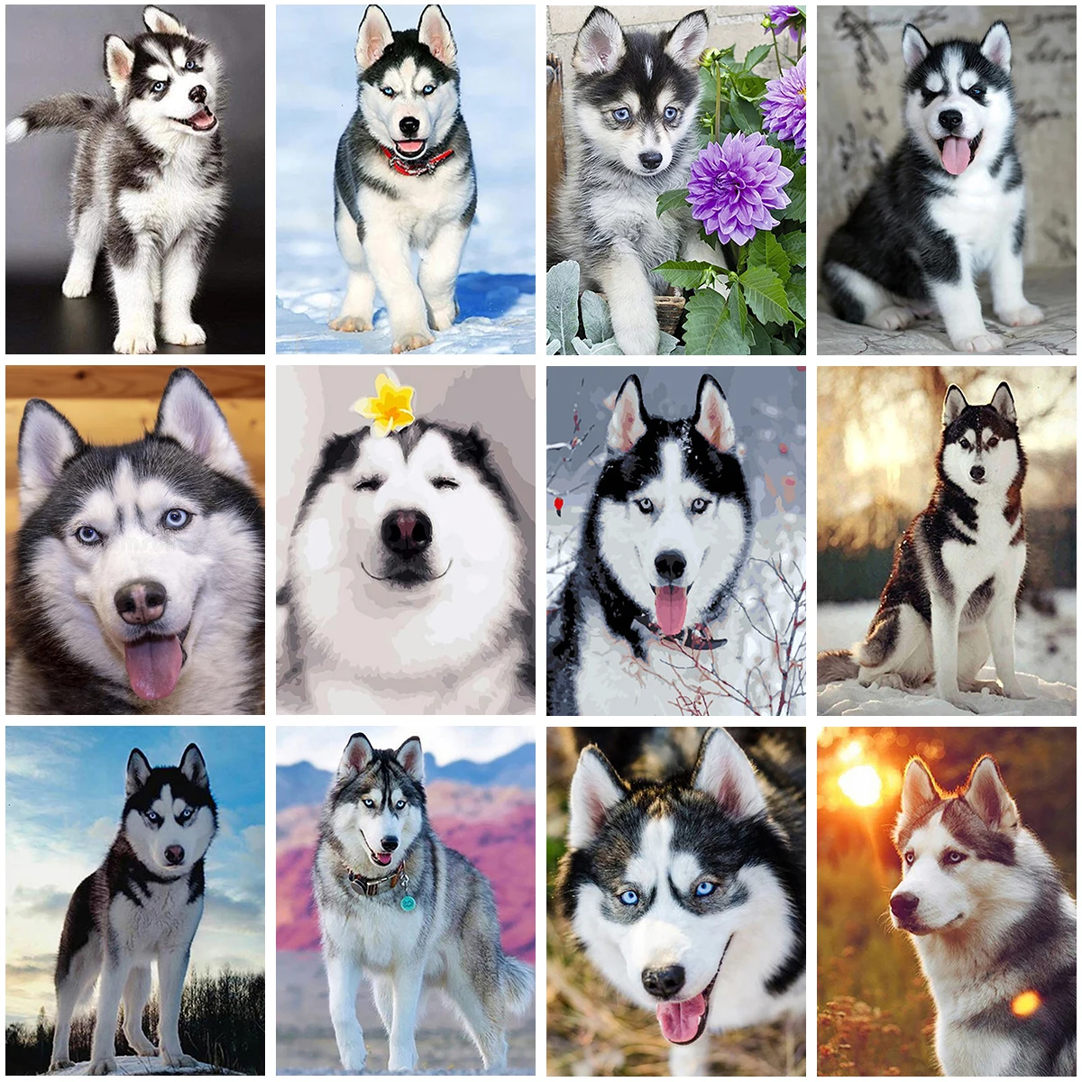 YSCOLOR Diamond Painting Diy Diamante Bordado Perro Husky 5D Diamante Pintura Animales Imágenes Redondas Completas De Diamantes De Imitación Etiqueta De La Pared 30X40cm