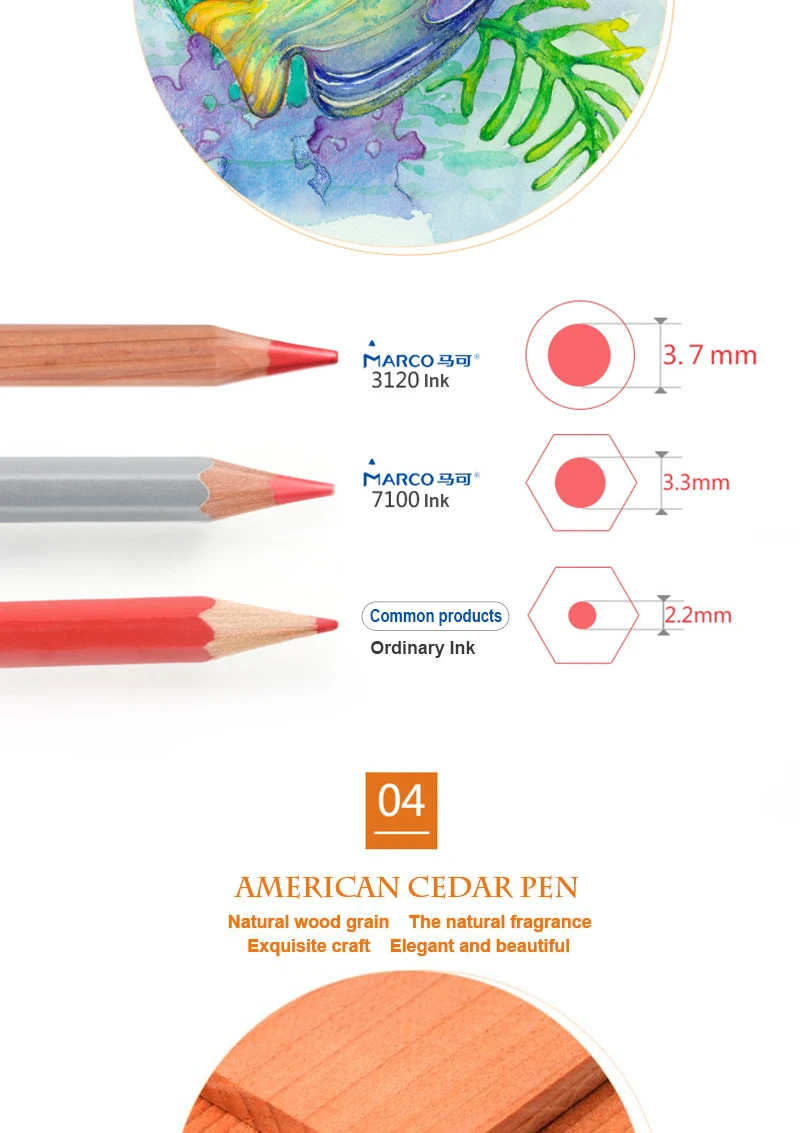 3120-72TN-F1-_05