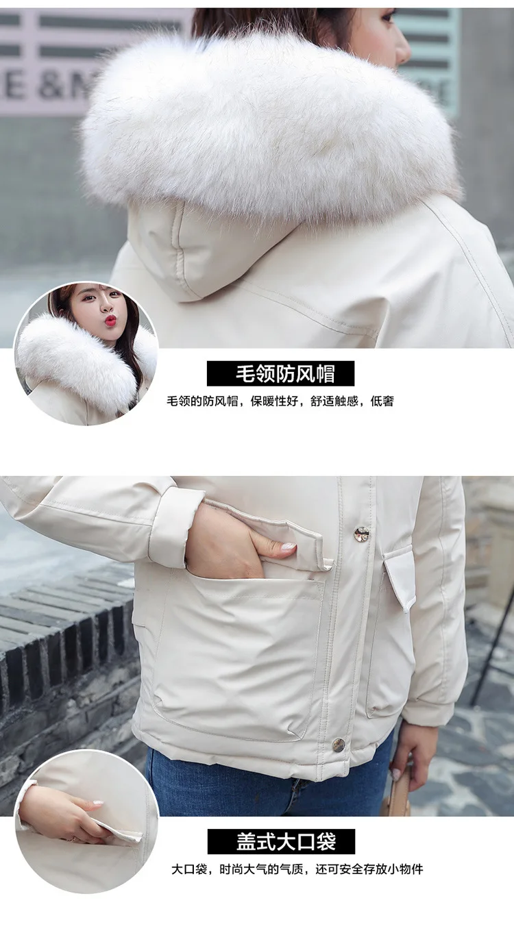 Photo Shoot Short Large Fur Collar down Jacket Female Winter Loose Fashion Short-height Best Friend Thick Versatile Cotton Overc