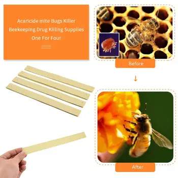 

Professional Acaricide Against Bee Mite Strip Beekeeping Medicine Bee Varroa Mite Control Mite Killer Beekeeping Products